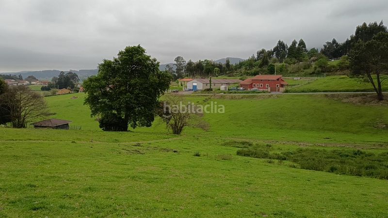 Foto 5bb60da5-90b8-456b-8033-c72c3b80d90c. Terreny residencial a Pillarno Castrillón