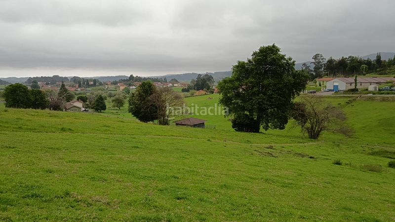 Foto a044ceb9-e0b1-4e86-900e-6d6b79ab0c94. Terreny residencial a Pillarno Castrillón