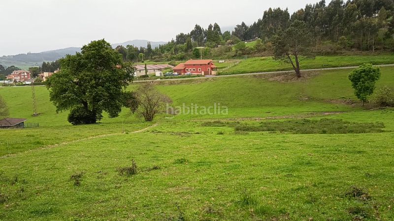 Foto d178e77c-803b-4e5e-b517-c1d09c2e2085. Terreny residencial a Pillarno Castrillón