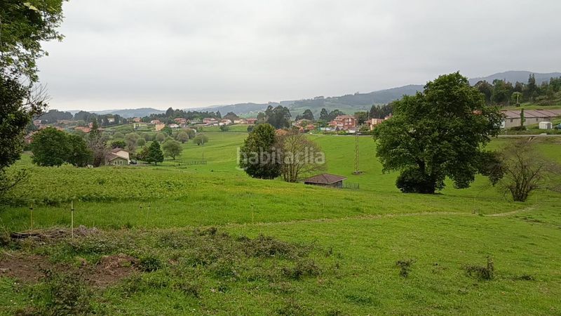 Foto de139c9d-79f1-430f-8cdc-d150f960e2ab. Terreny residencial a Pillarno Castrillón