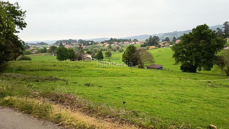Foto f9a72ad3-146d-4d20-aad0-f6511e12f10f. Terreny residencial a Pillarno Castrillón