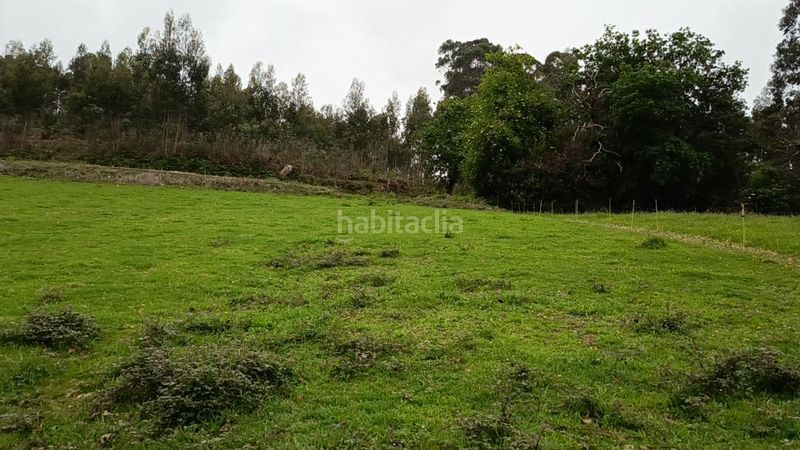 Foto fd2e1502-40ad-425b-9b57-028ea3e04ee4. Terreny residencial a Pillarno Castrillón