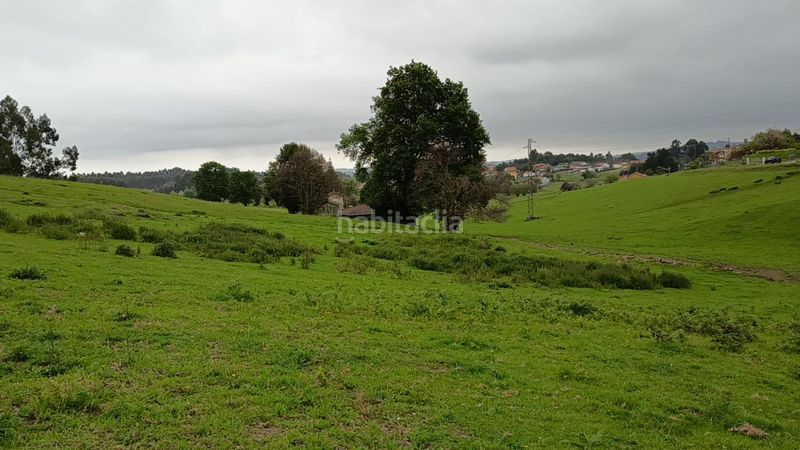 Foto a66edf70-a755-4cf2-ae41-131b1f99af5c. Terreno residencial la laguna () parcela edificable 50.000 € en Illas