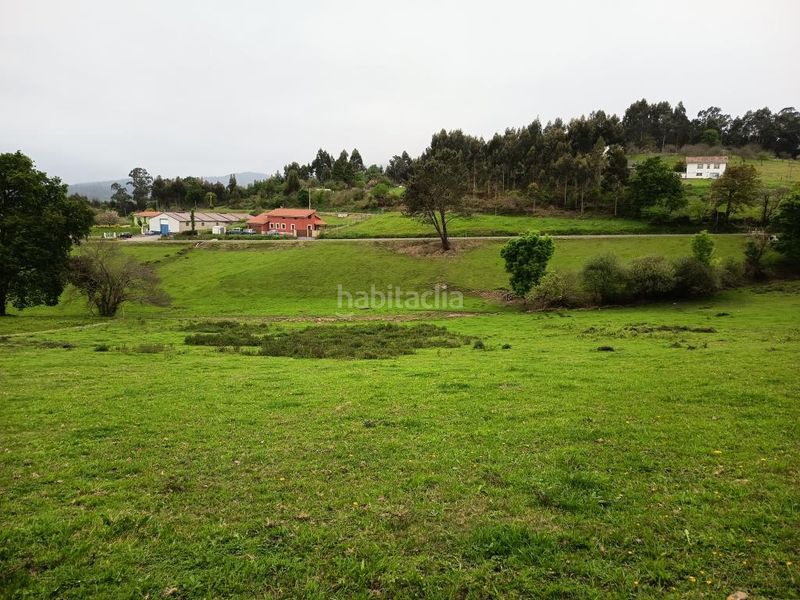 Foto f1434cef-54b4-463e-8131-a00e5bf7595a. Terreno residencial la laguna () parcela edificable 50.000 € en Illas