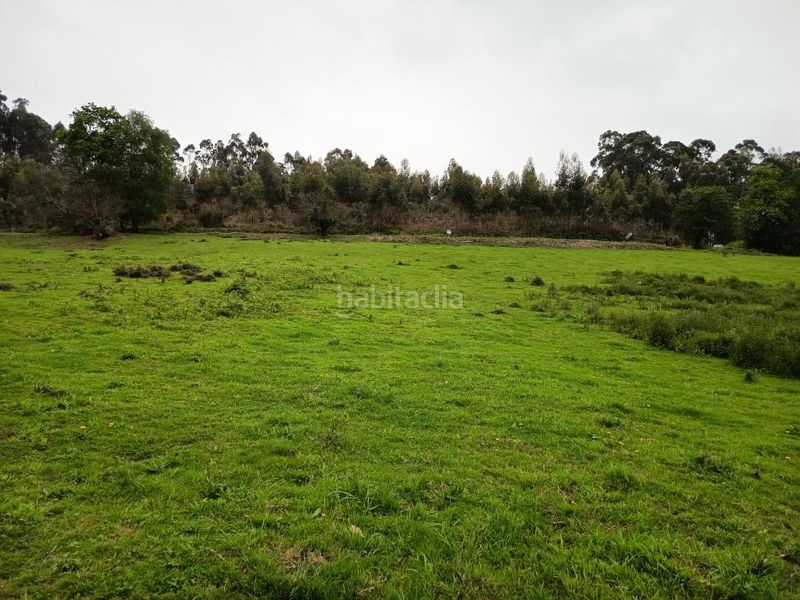 Foto 6e3eba6e-d606-4edc-85df-ef0cd8e9e2bb. Terreno residencial la laguna () parcela edificable 1.750 m2 en Illas