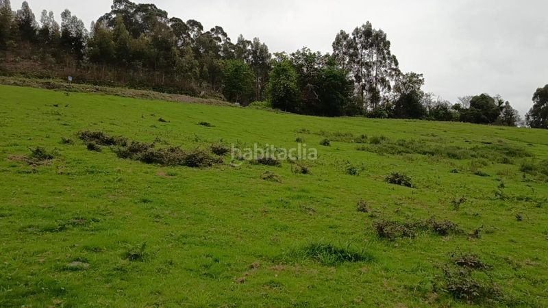 Foto c8174ec3-5543-4497-8fdf-6fbe71bc08d3. Terreno residencial la laguna () parcela edificable 1.750 m2 en Illas