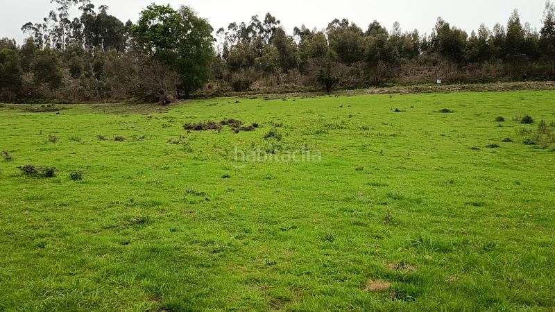 Foto e417ffe1-d719-4333-9f52-9e11a52a8150. Terreno residencial la laguna () parcela edificable 1.750 m2 en Illas