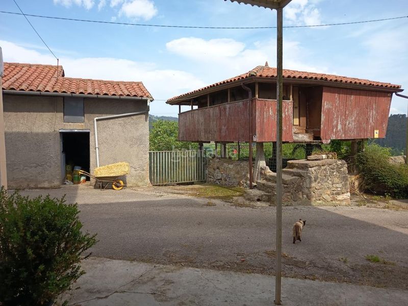 Foto d463b54d-a883-4f80-b4bf-11964400530a. Casa a Llanera