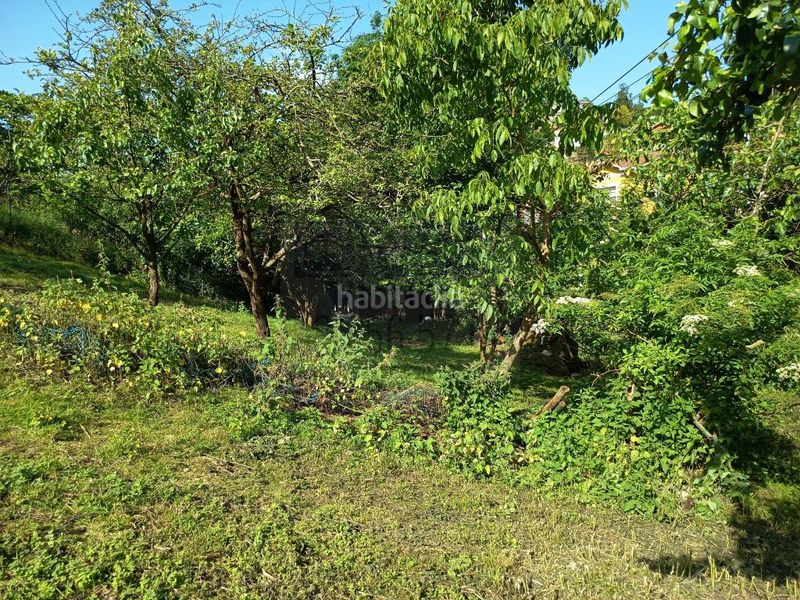Foto 0bd7e375-313b-44ad-be24-e9fe01b61734. Finca rústica a La Magdalena Avilés