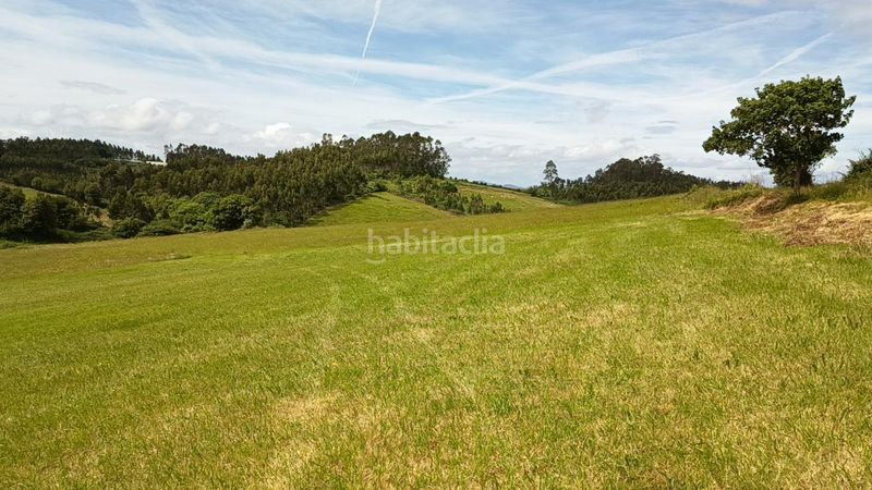 Foto cd8f403b-3439-4d2b-9664-36657fd00e52. Finca rústica a Bocines-Nembro-Cardo Gozón
