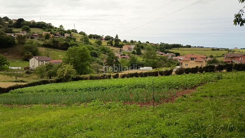 Foto aafc701e-1bee-4fbd-b7b2-5b3928a8ecc6. Finca rústica a Corvera de Asturias
