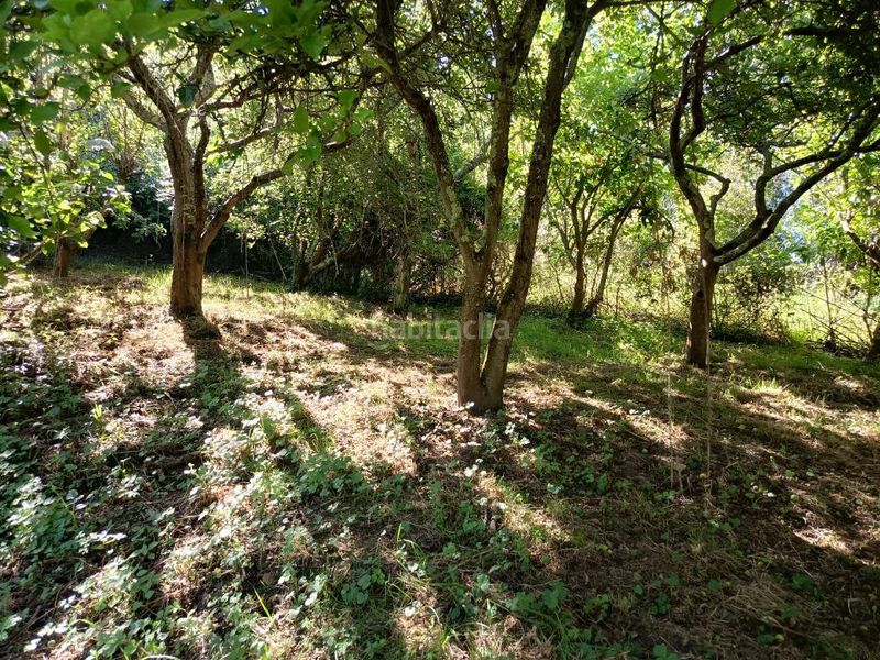 Foto 01f2a0cd-b814-4d89-8782-3133b6329547. Finca rústica a Corvera de Asturias