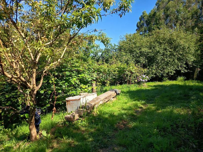 Foto 2128d5fe-d988-460a-b937-7cf3df4a71ce. Finca rústica a Corvera de Asturias
