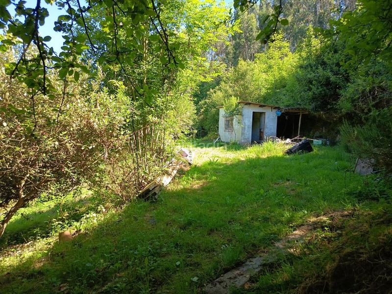 Foto 6069cb18-f521-463d-bbab-a13b6fa9fbaf. Finca rústica a Corvera de Asturias