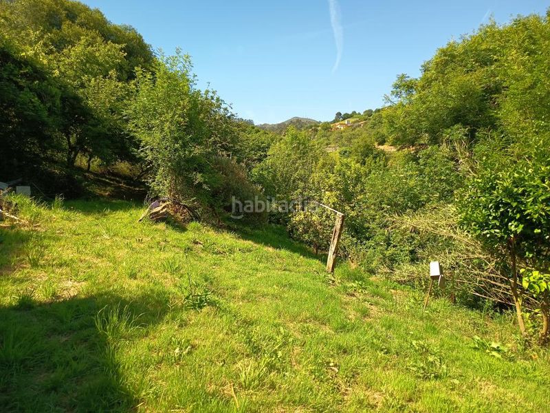 Foto a8c53230-15a7-4d01-a03d-fe690032ae62. Finca rústica a Corvera de Asturias