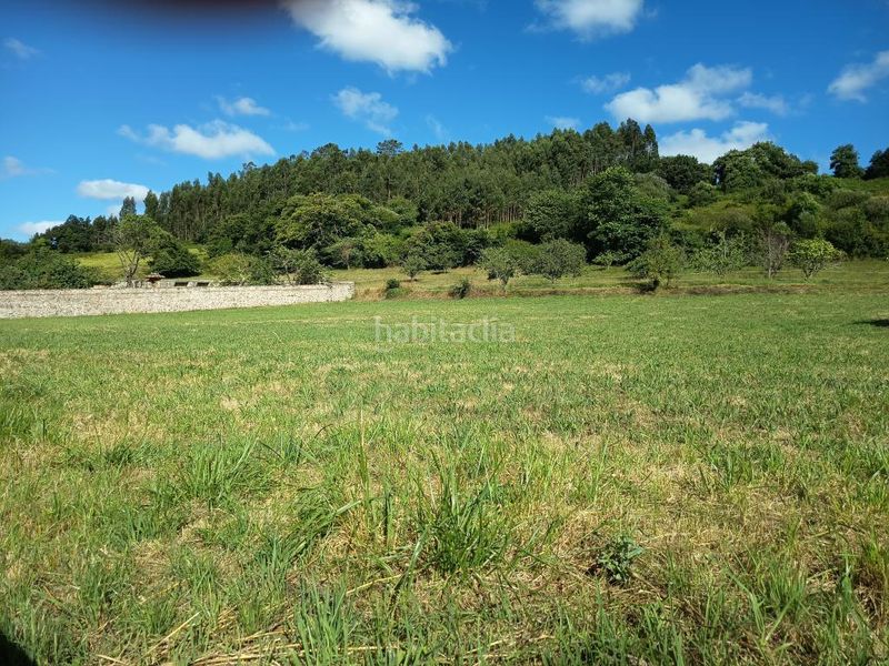 Foto 0f72a8e1-493f-4953-92a4-ad64df062d39. Terreny residencial a Pillarno Castrillón