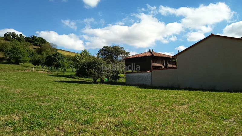 Foto 5cc355a9-673f-4ece-80ed-1e0a5e5957aa. Terreny residencial a Pillarno Castrillón