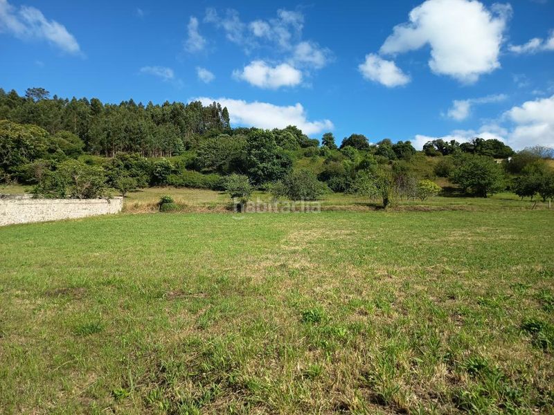 Foto b7a624ec-be90-4e09-b6d0-e98f699f920a. Terreny residencial a Pillarno Castrillón