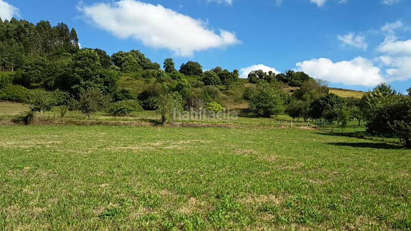 Foto ff6da071-d950-461f-9aac-8063e80d17a7. Terreny residencial a Pillarno Castrillón