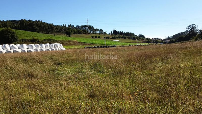 Foto 59424e4c-3468-4dea-94e4-bd29c2baec15. Finca rústica a Carreño