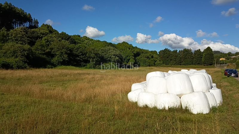 Foto ca7dd678-72b9-44fd-91f0-e35a87543b81. Finca rústica a Carreño