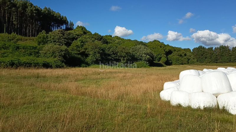 Foto cb62d3be-6c4c-4b4b-a560-e8df345a8ed8. Finca rústica a Carreño