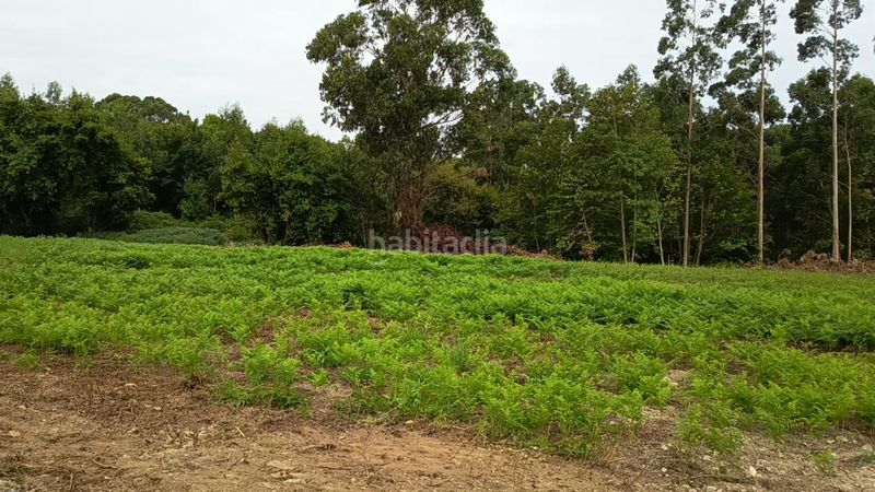 Foto a1b0a4f8-4445-458f-80bf-ff30f99b32b5. Terreny residencial a Cudillero