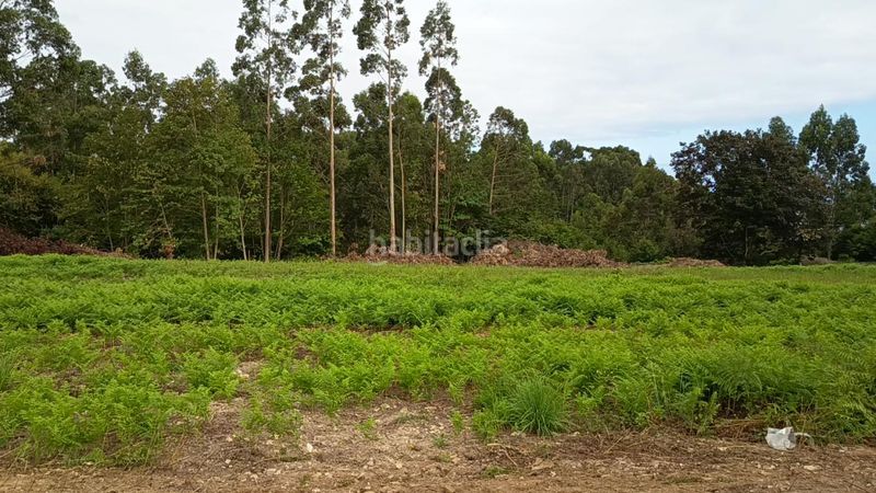 Foto 0ec37f83-fa43-449b-a845-a9fdeb8101dd. Terreny residencial a Cudillero