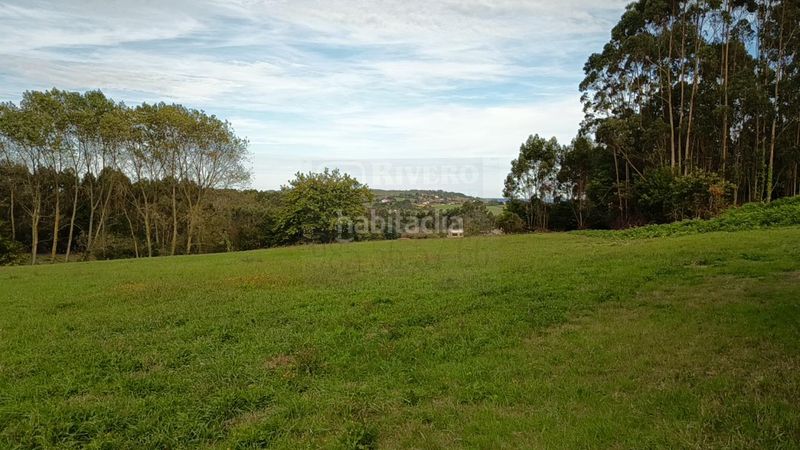 Foto be6d3fdf-20a3-48ac-b889-d98d0ec53ffd. Terreny residencial a Bocines-Nembro-Cardo Gozón
