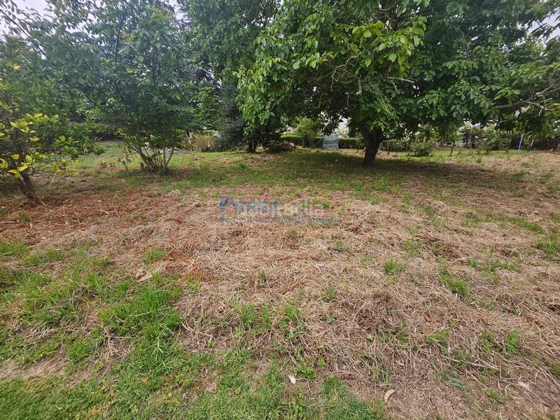 Foto 5df212bd-5765-478f-89f6-a0bddb1b7a4f. Terreny residencial a Fene