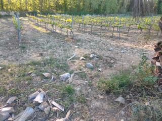 Finca rústica a La Ràpita. Finca agrícola en venta en santa margarida i els monjos: oportun