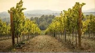 Landgut in La Ràpita. Su finca en el penedès, inversión, ocio familiar con huerto prop