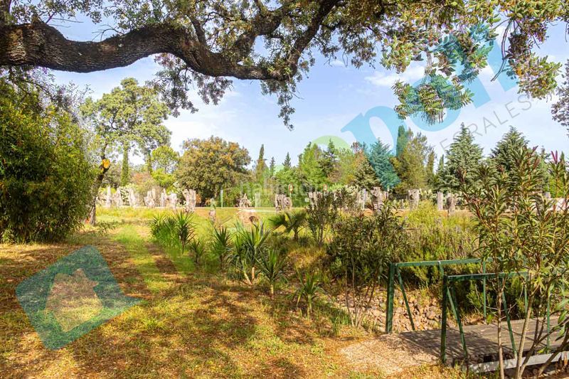 Foto 1ccf3a4e-5732-4675-bccd-60a536b743ea. Xalet amb xemeneia aparcament a pedanías de Badajoz Badajoz