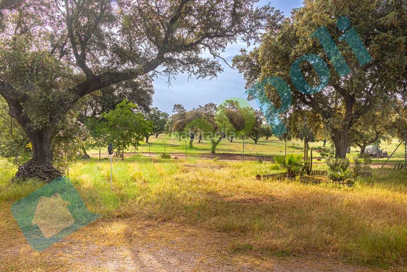 Foto 1dcfdd6a-83fb-4858-9767-4a34b53eae06. Xalet amb xemeneia aparcament a pedanías de Badajoz Badajoz