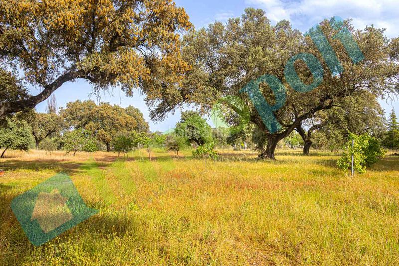 Foto 258b22ba-a702-45c9-9206-0cc558ccc4d8. Xalet amb xemeneia aparcament a pedanías de Badajoz Badajoz