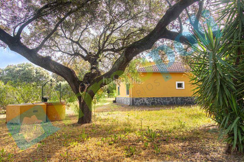 Foto 2a155b19-03c4-44ac-8c2e-9030b630b3a1. Xalet amb xemeneia aparcament a pedanías de Badajoz Badajoz