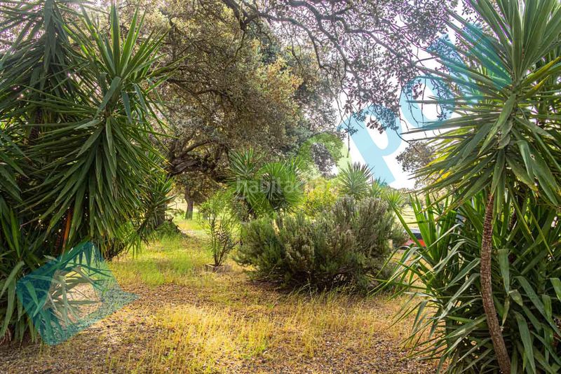 Foto 392ed25b-a99f-410e-9437-29d5949463d1. Xalet amb xemeneia aparcament a pedanías de Badajoz Badajoz