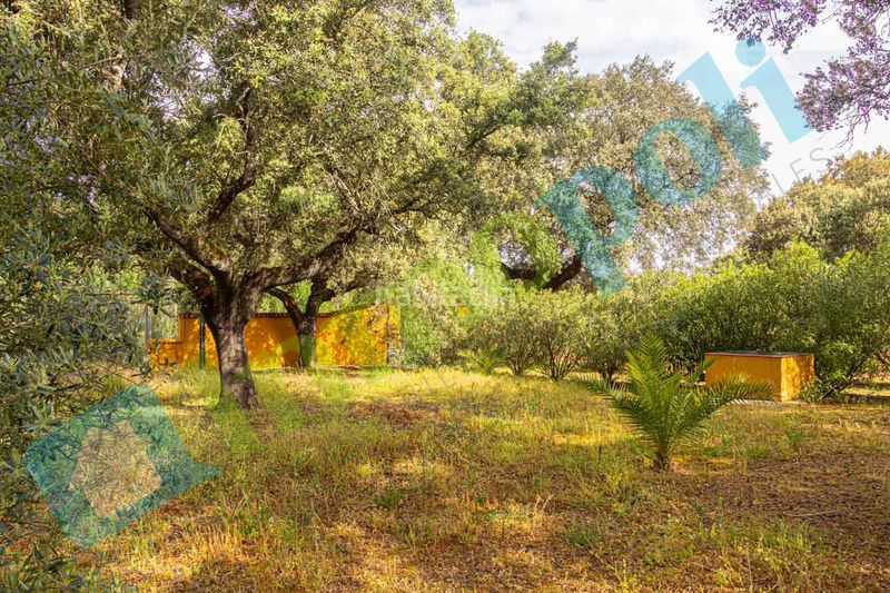 Foto 44a69caa-7e91-46fc-b8fb-4067e07afc25. Xalet amb xemeneia aparcament a pedanías de Badajoz Badajoz