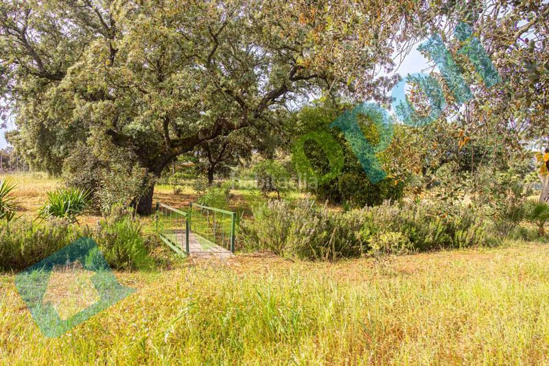 Foto 5b38d173-e6f1-4710-9ee1-f8c249c3707e. Xalet amb xemeneia aparcament a pedanías de Badajoz Badajoz