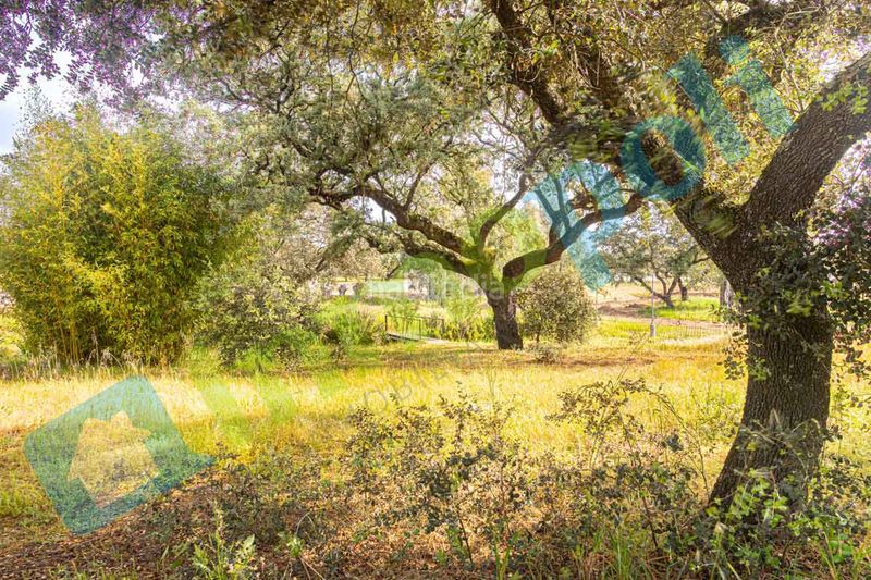 Foto 6e743b7f-e916-4ad7-90fb-8b9fd32acfdb. Xalet amb xemeneia aparcament a pedanías de Badajoz Badajoz