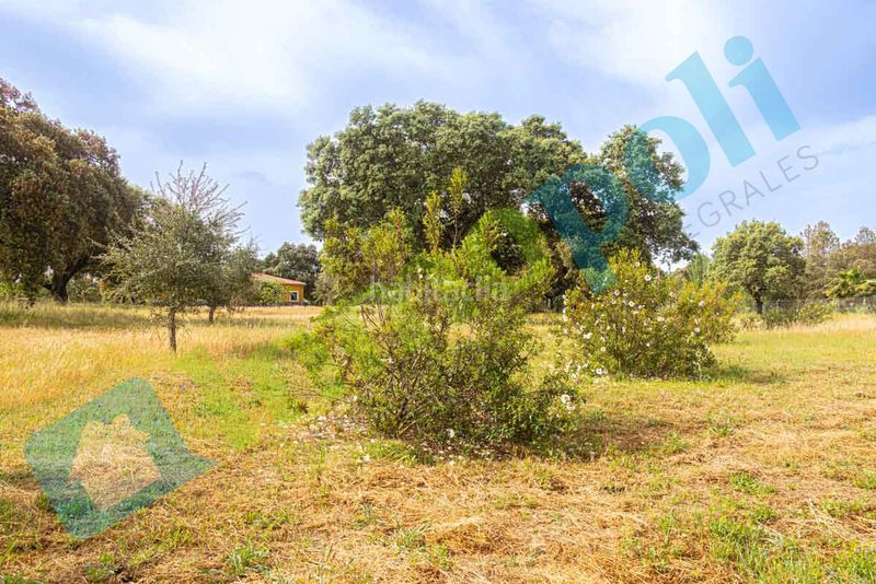 Foto 77ddad36-275b-42ae-92f3-ecc05a58f72f. Xalet amb xemeneia aparcament a pedanías de Badajoz Badajoz