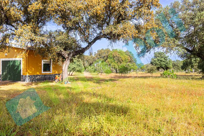 Foto 802ede1e-365a-4b23-88a1-9959b8ecc722. Xalet amb xemeneia aparcament a pedanías de Badajoz Badajoz