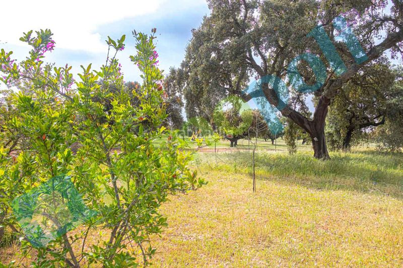 Foto a0691f56-3e23-4965-997f-9bf5ffb25bf7. Xalet amb xemeneia aparcament a pedanías de Badajoz Badajoz