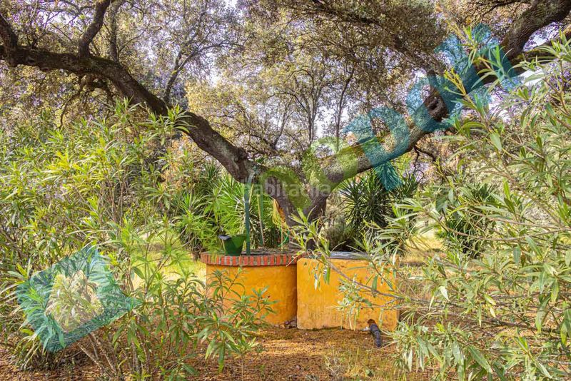 Foto a3537f45-9353-48ff-961c-1e94b3a00381. Xalet amb xemeneia aparcament a pedanías de Badajoz Badajoz