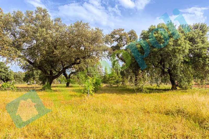 Foto ece2434e-d892-4f7b-902d-8d77362eb191. Xalet amb xemeneia aparcament a pedanías de Badajoz Badajoz