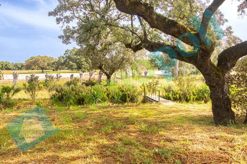 Foto f1b40dad-94d0-416f-90aa-2581f5250207. Xalet amb xemeneia aparcament a pedanías de Badajoz Badajoz