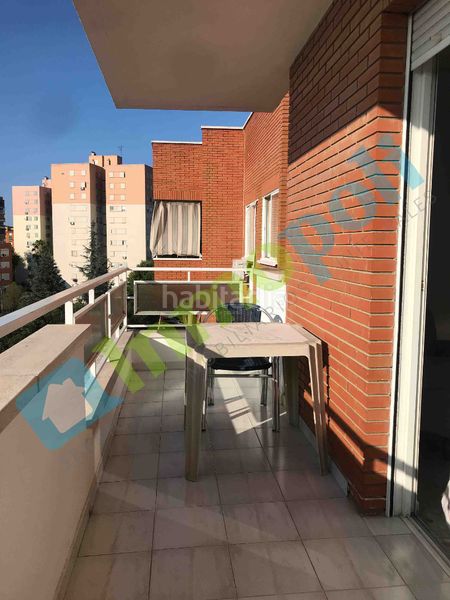 Foto 584f7e08-7764-499e-9086-03ca7c55bdb9. Rent flat in Valdepasillas - La Paz - Huerta Rosales Badajoz