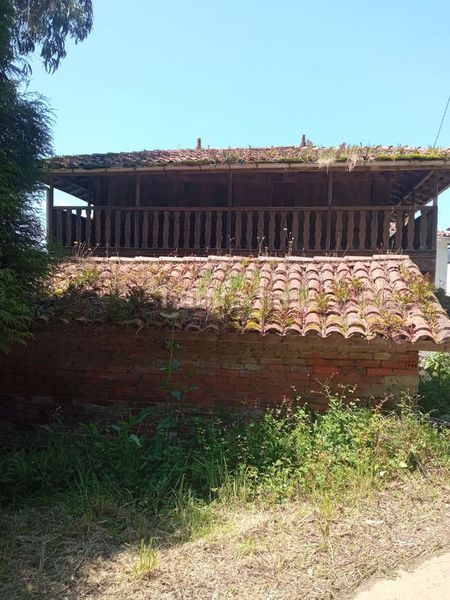 Foto d65f47a0-5d1d-4e53-87c9-a4f3ef35df50. Masía en camino de la estación 750 casa de 2 plantas + 2 fincas edificables en Cudillero