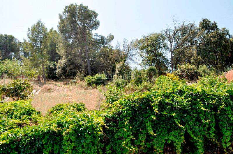 Foto 8f29ca02-f3d3-4fbc-8d72-dc8334cc27dd. Residential plot in Montflorit Cerdanyola del Vallès