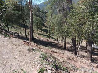 Wohngrundstück in El Racó-Sant Feliu del Racó. Terreno urbano en st feliu racó